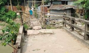 মানিকগঞ্জে ২২ বছরেও মেরামত করা হয়নি ক্ষতিগ্রস্থ সেতুটি