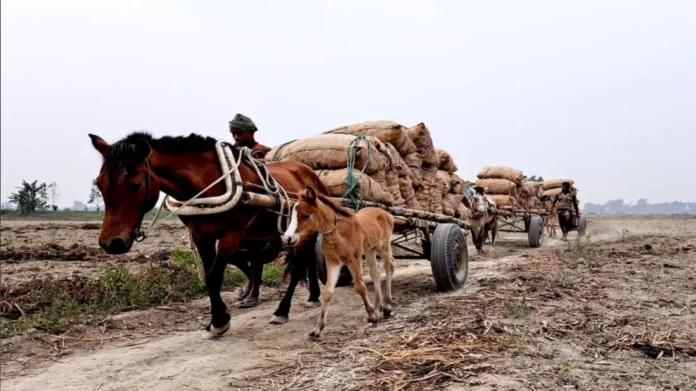 সংগৃহীত
