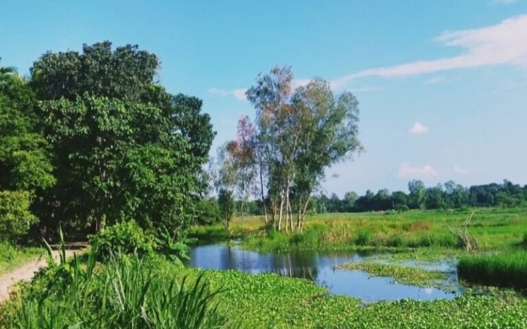 সবুজের বুকে জরাজীর্ণ কেল্লাই দক্ষিণপাড়া গ্রাম