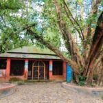 “শিকড় যত গভীরে যায়, ছায়া তত দূরে পৌঁছায় ।”