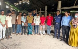 মানিকগঞ্জে ১৩ ঘোড়া জবাই করে মাংস প্রক্রিয়াজাত, ৯ জনের কারাদণ্ড