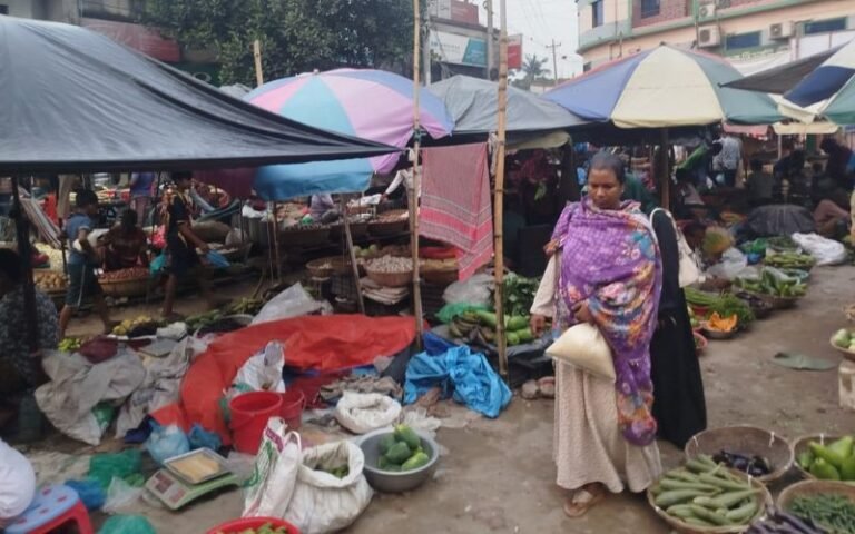 সাটুরিয়া বাসস্ট্যান্ডে অস্থায়ী কাঁচাবাজারের জায়গা দখলের অভিযোগ: টাটকা সবজি থেকে বঞ্চিত ক্রেতারা