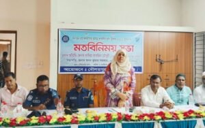 দৌলতপুরে শারদীয় দুর্গোৎসব উপলক্ষে প্রস্তুতিমূলক মতবিনিময় সভা অনুষ্ঠিত